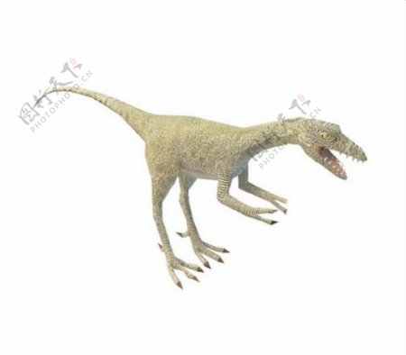 野生恐龙3d模型