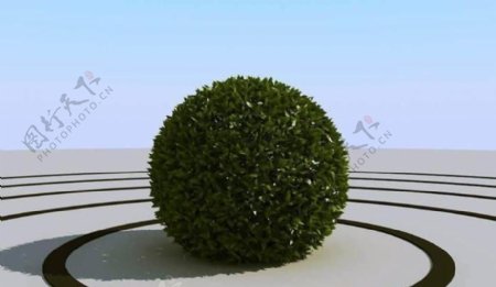 高精细球形的灌木丛模型bushball02