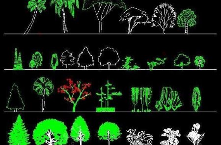 园林立面植物图例CAD