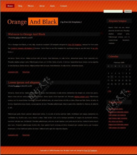橙色与黑色BLOG网页模板