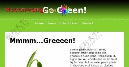 简单绿色网页模板
