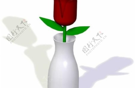 花瓶干玫瑰