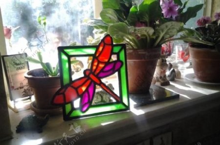 蜻蜓的彩色玻璃