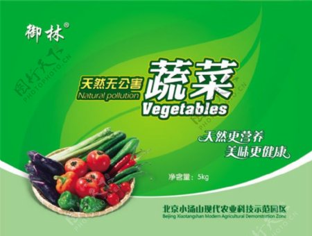 无公害蔬菜海报