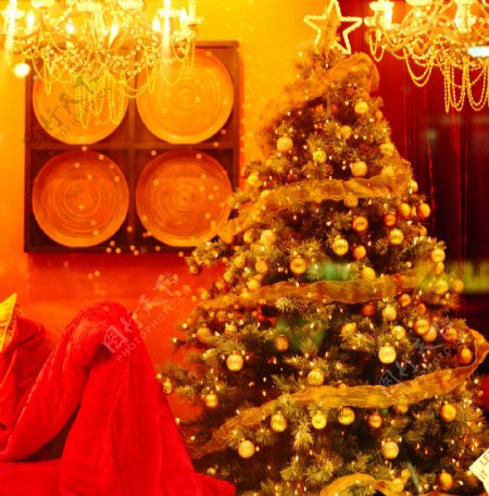 圣诞树传统节日PSD素材