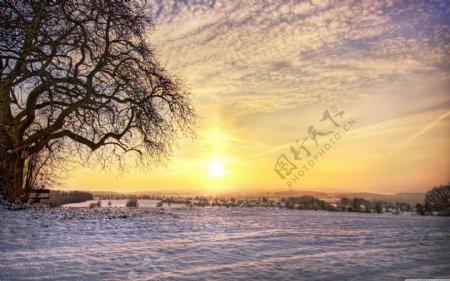 冬日阳光背景图片
