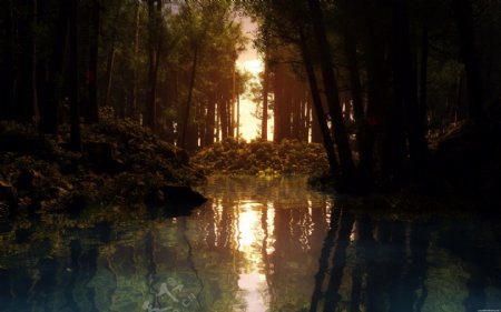 森林深处阳光西下唯美水面波光粼粼唯美图片