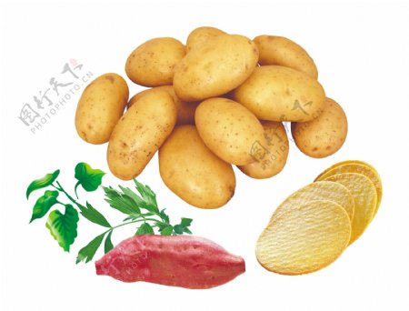 土豆地瓜图片