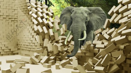 大象3D立体电视背景墙画jpg