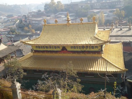 塔尔寺藏经阁金顶图片