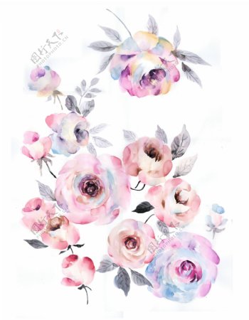 手绘花卉设计高清素材