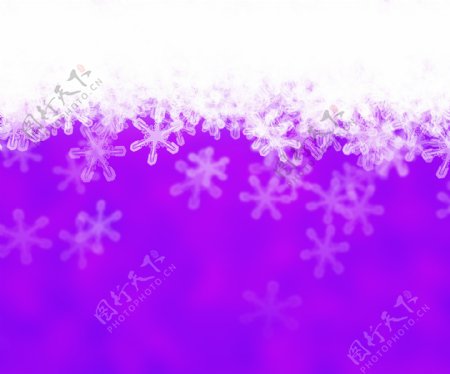 紫摘要雪的背景