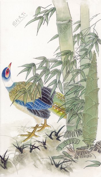 竹林鸟彩绘