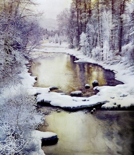 森中雪油画风景
