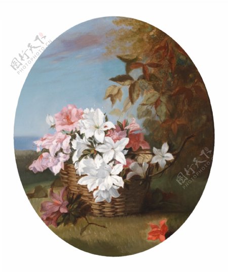 闈欑墿鑺卞崏831120静物花卉油画超写实主义油画静物