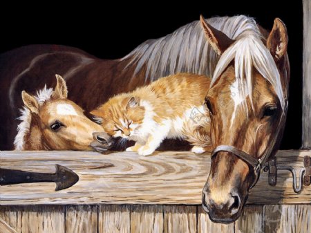 油画猫和马