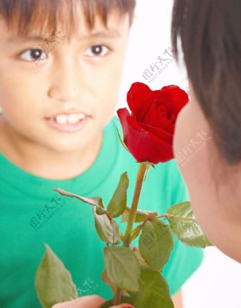 男孩给他的母亲的玫瑰