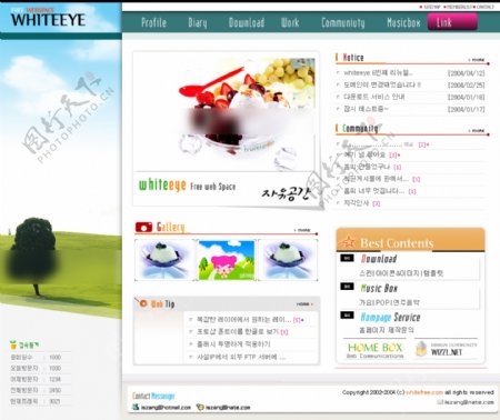 韩国餐饮娱乐网页模板