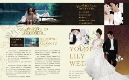金百合婚纱摄影版式设计图片