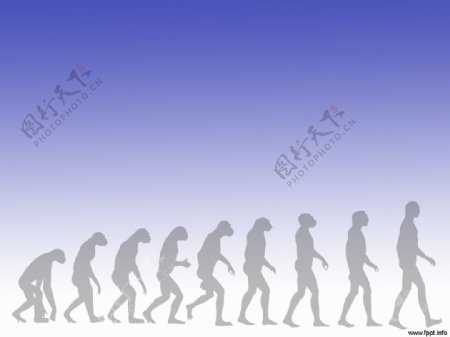 人类进化的ppt模板