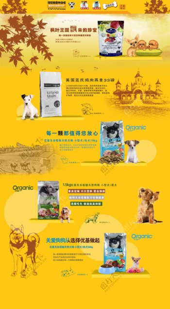 枫叶淘宝宠物用品海报全屏可爱黄色
