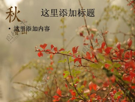 北京香山静宜园秋天风景摄影宽屏ppt4