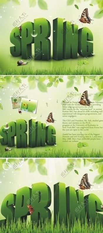 春天绿色spring字母图片