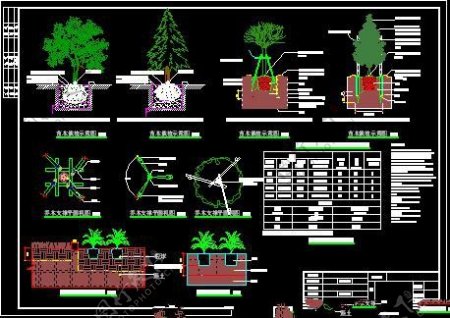 植物栽植技术施工图
