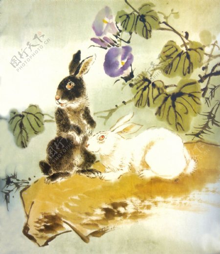 生肖兔国画12