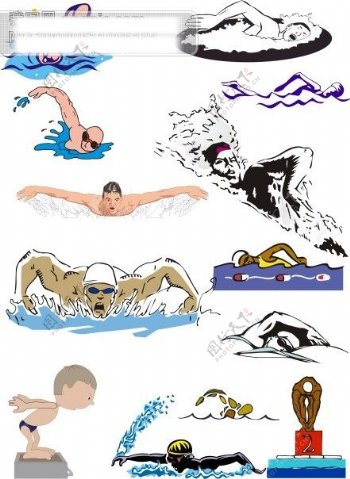 游泳运动