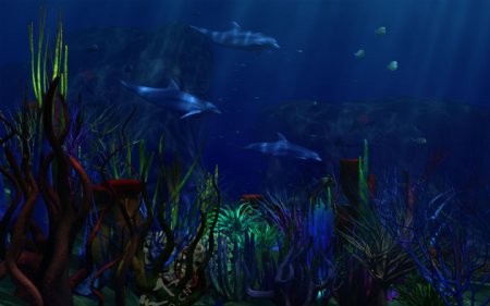 蓝色梦幻海豚海底世界壁纸