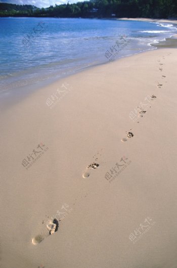 海滩脚印