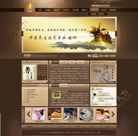 中医网页