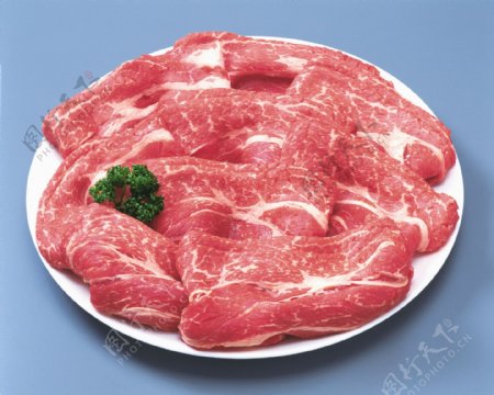 肉肉串肉丸肉类肉松肉片肉棕
