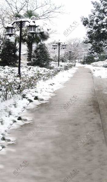 雪后的小路