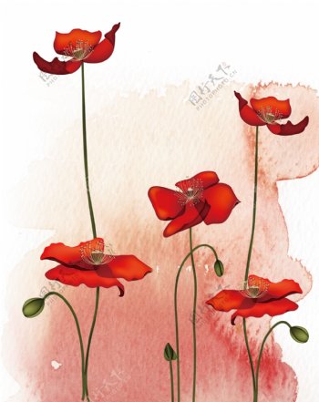 红色花朵手绘移门图片