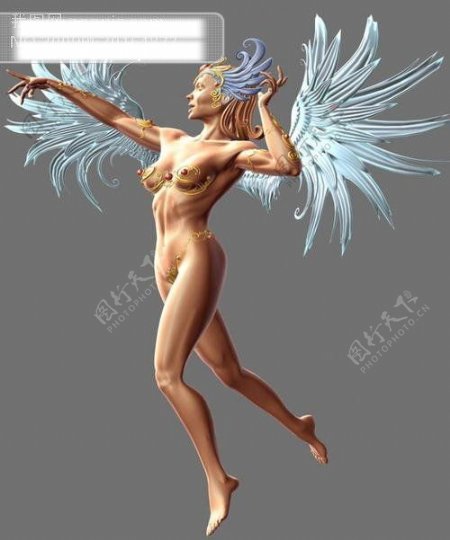 翅膀女人模型