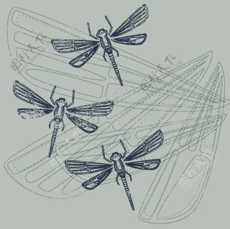 印花矢量图昆虫蜻蜓生活元素翅膀免费素材