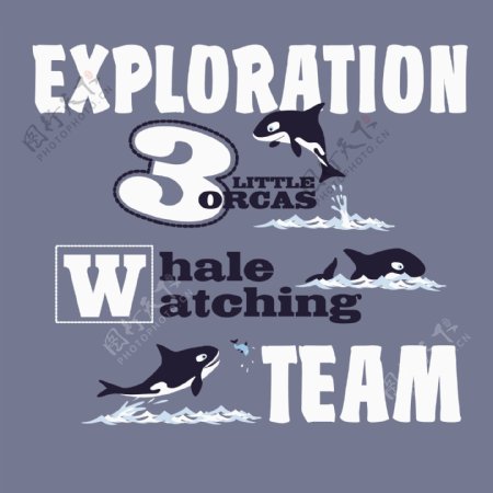 印花矢量图T恤图案图文结合动物鲨鱼免费素材