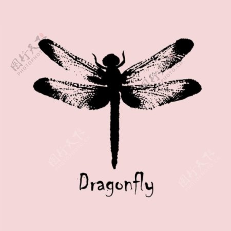 印花矢量图T恤图案图文结合动物蜻蜓免费素材