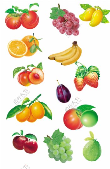 水果集合