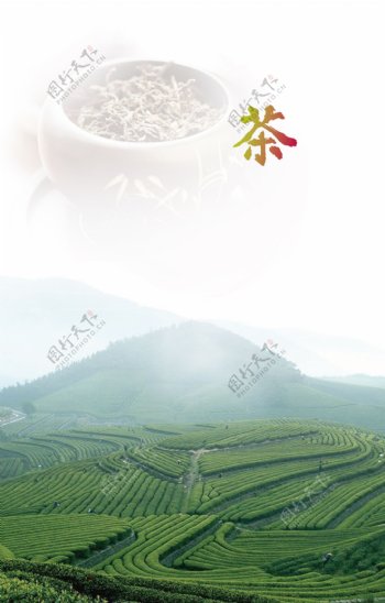 茶茶山绿茶图片