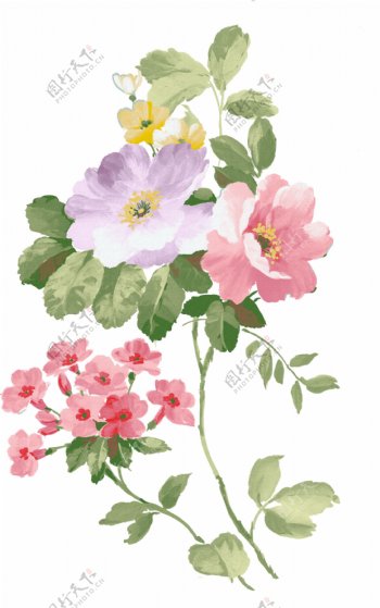 位图植物图案写意花卉花朵芍药免费素材