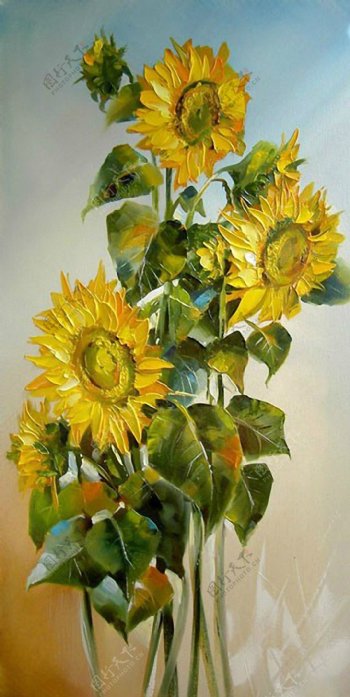 位图植物图案写意花卉花朵向日葵免费素材