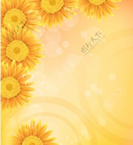 玻璃移门装饰图片黄色背景黄色向日葵