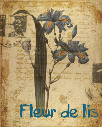 欧式复古水彩花卉图片