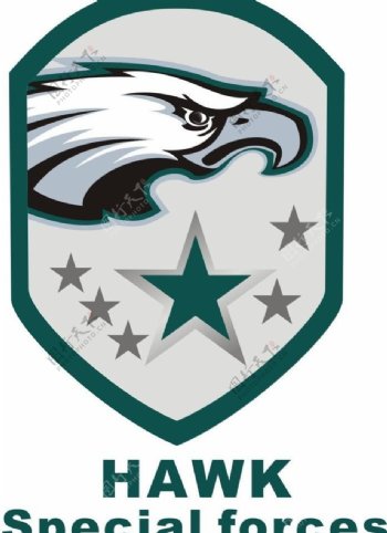 鹰眼特种部队logo图片