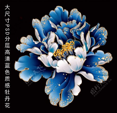 中国风古典牡丹花