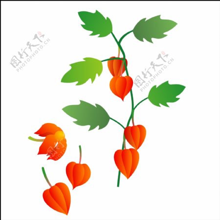 印花矢量图优雅植物水果色彩红色免费素材