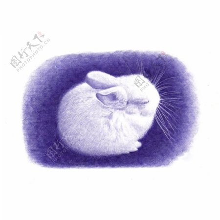 位图动物图案兔子手绘色彩免费素材